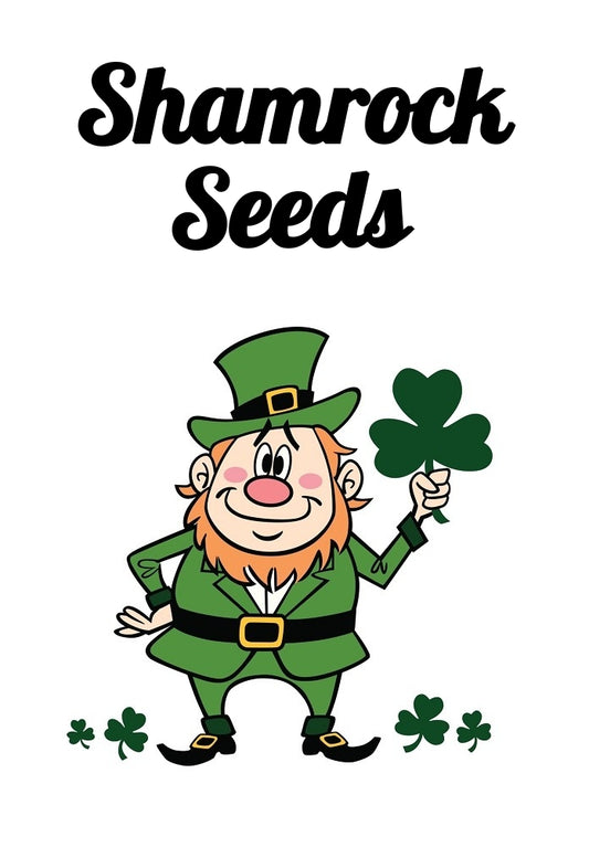 SHAMROCK SEEDS